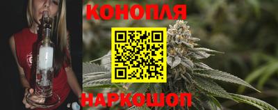 шишки Можга