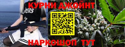 шишки Можга