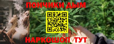шишки Можга
