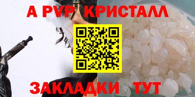 шишки Можга