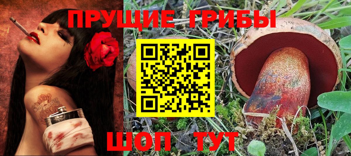 Галлюциногенные грибы MAGIC MUSHROOMS  Вход с VPN  Бузулук 