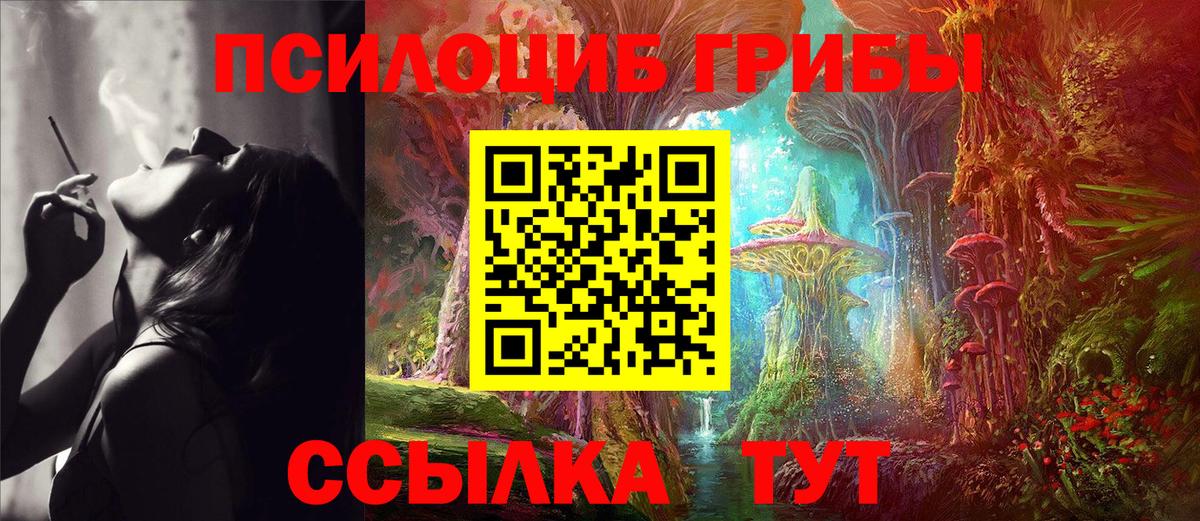 Галлюциногенные грибы Psilocybe Бузулук